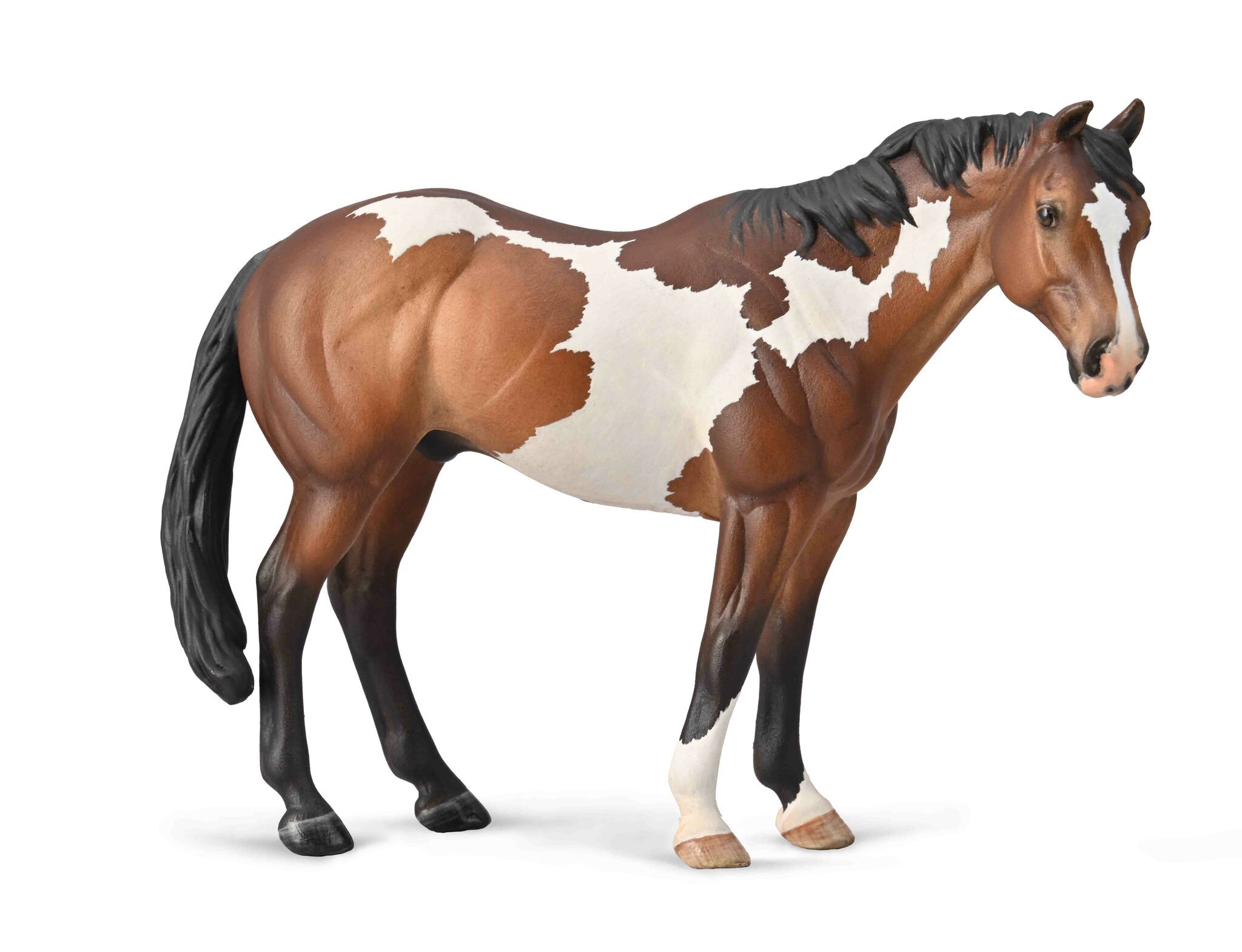 Paint (Collecta)