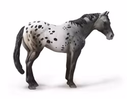 Appaloosa blue roan (Collecta)