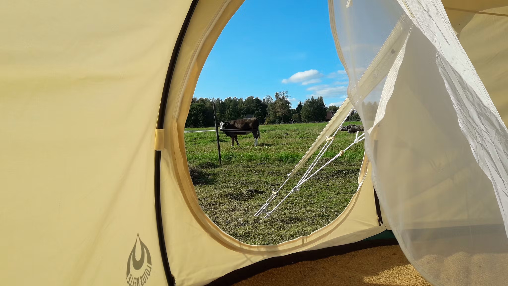 Åshyttans Glamping i Nora