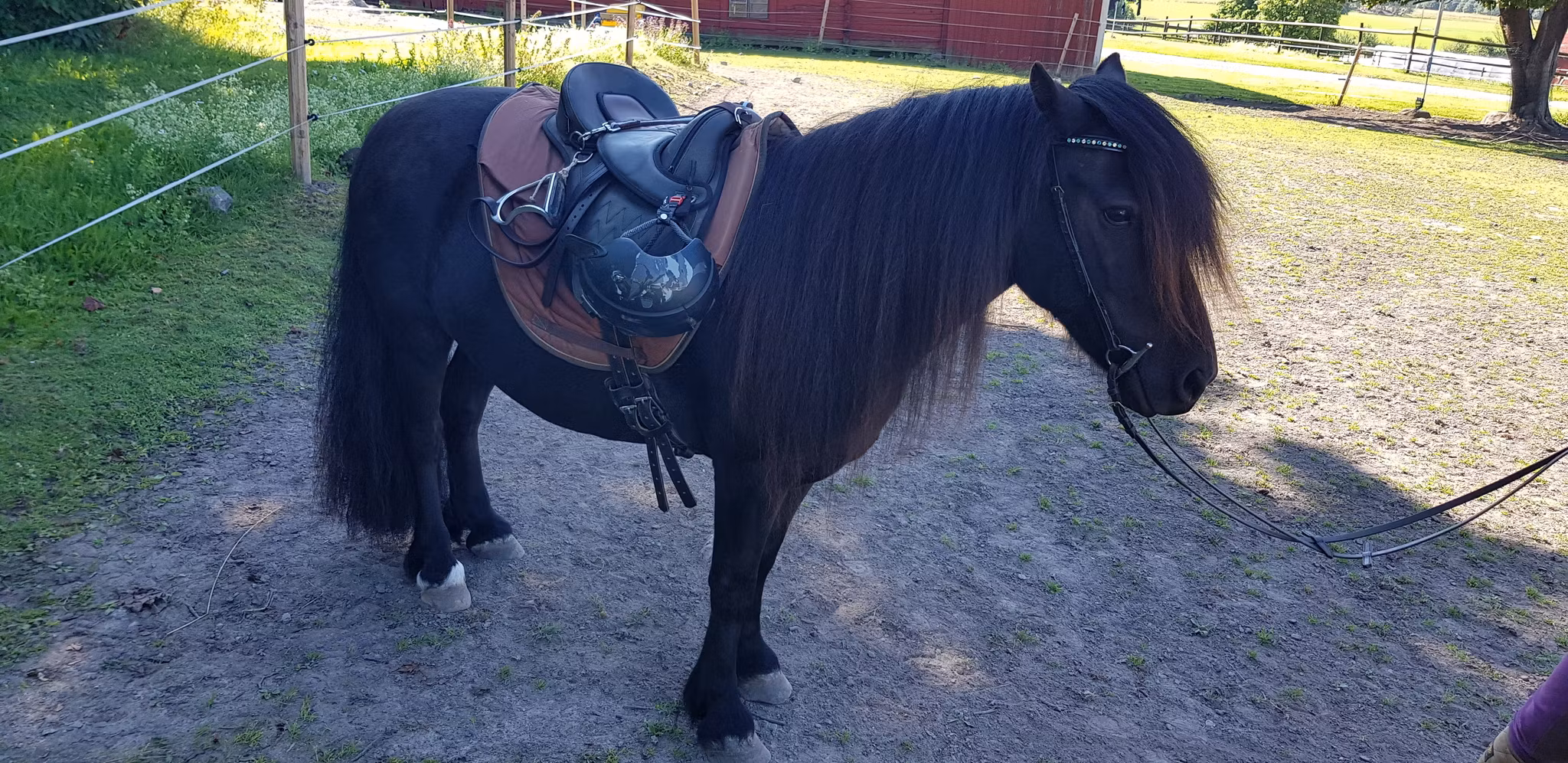 Ponnyridning