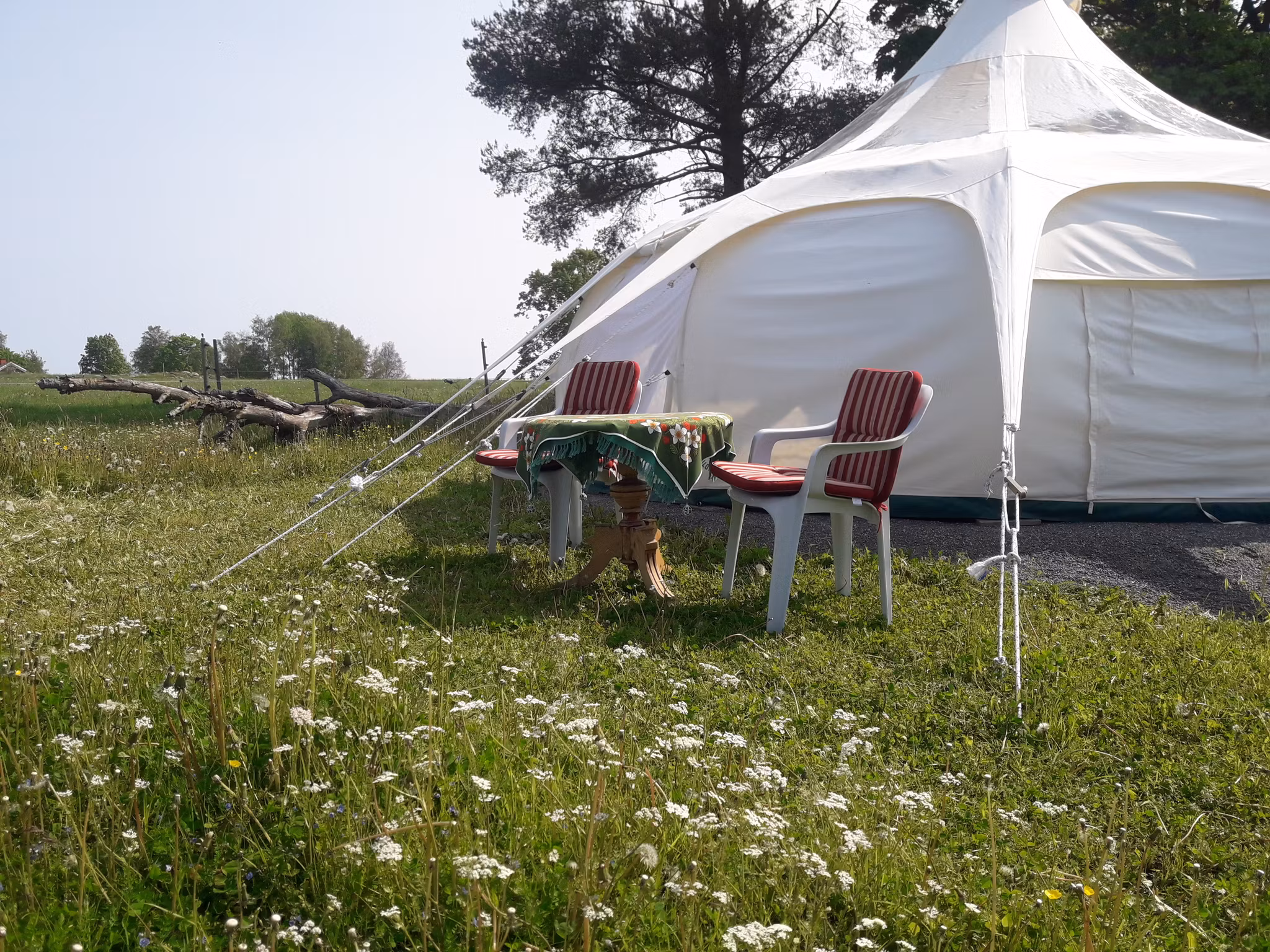 Åshyttans Glamping i Nora