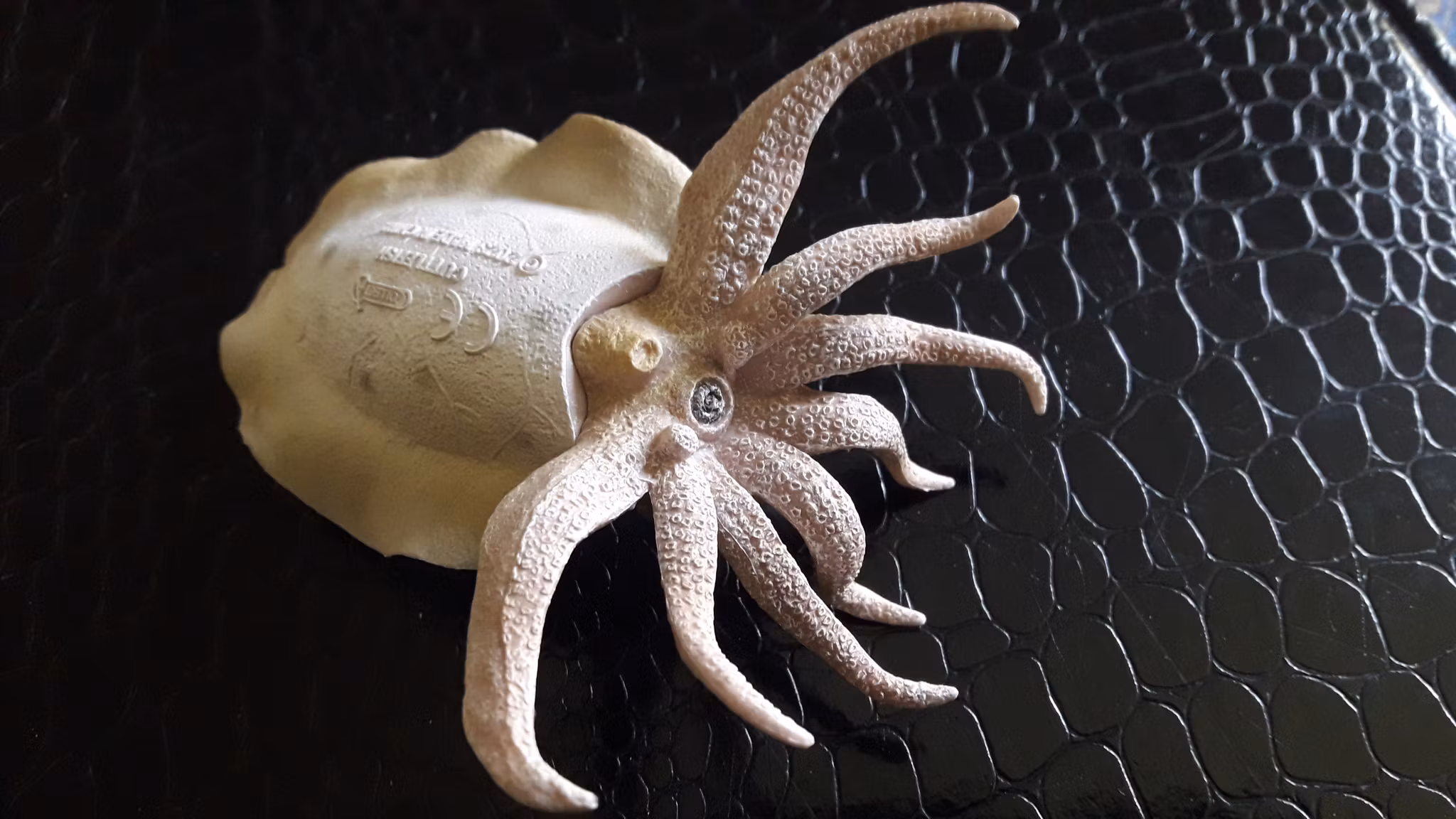 Bläckfisk-Sidensepia 10 cm (Collecta)