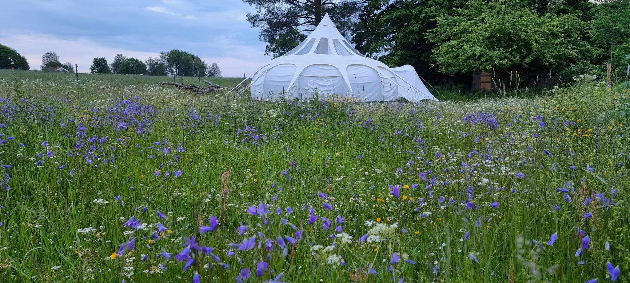 Åshyttans Glamping i Nora