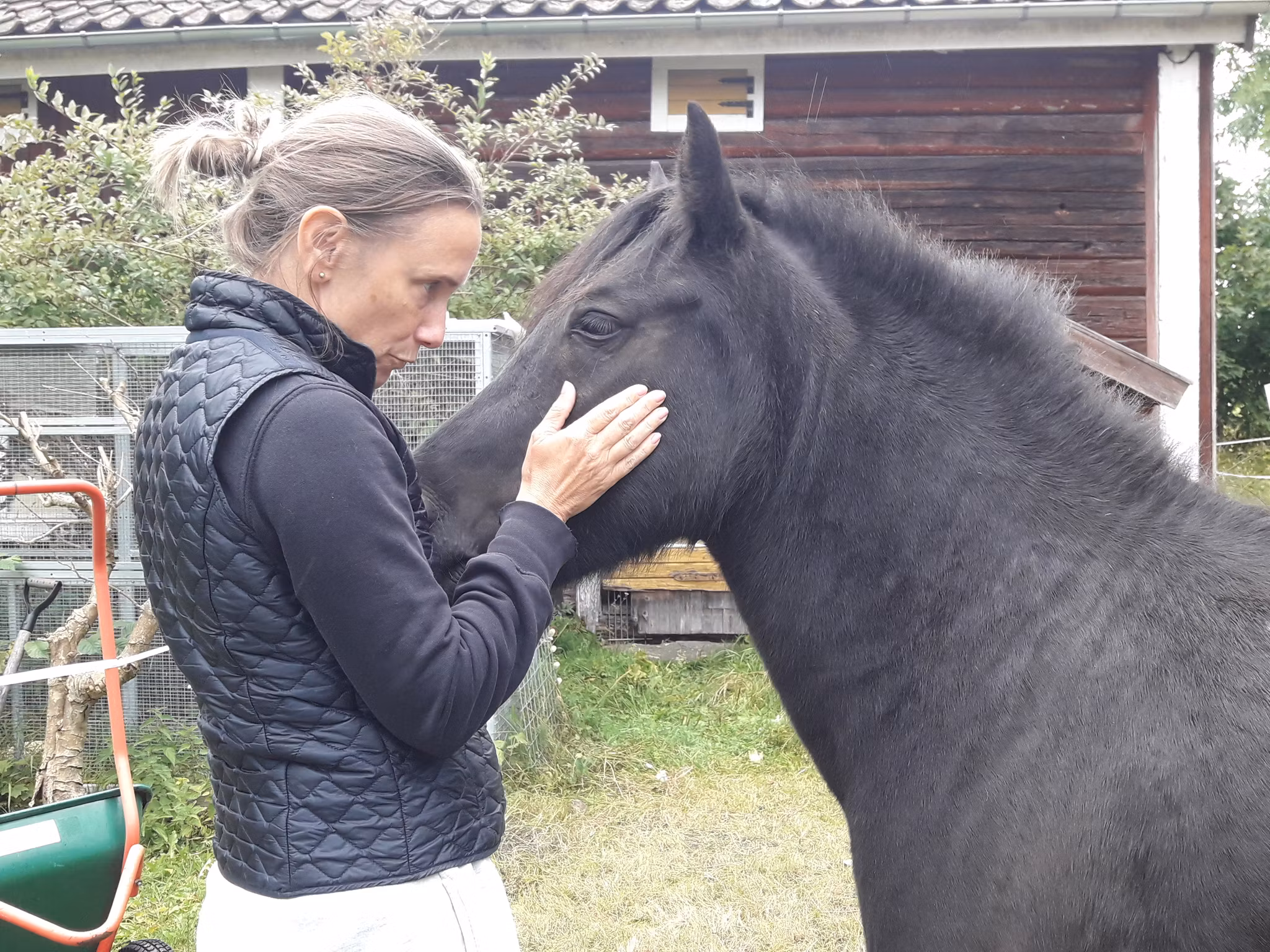 Familjedag med konst, djur och ponnyridning 13/9-25