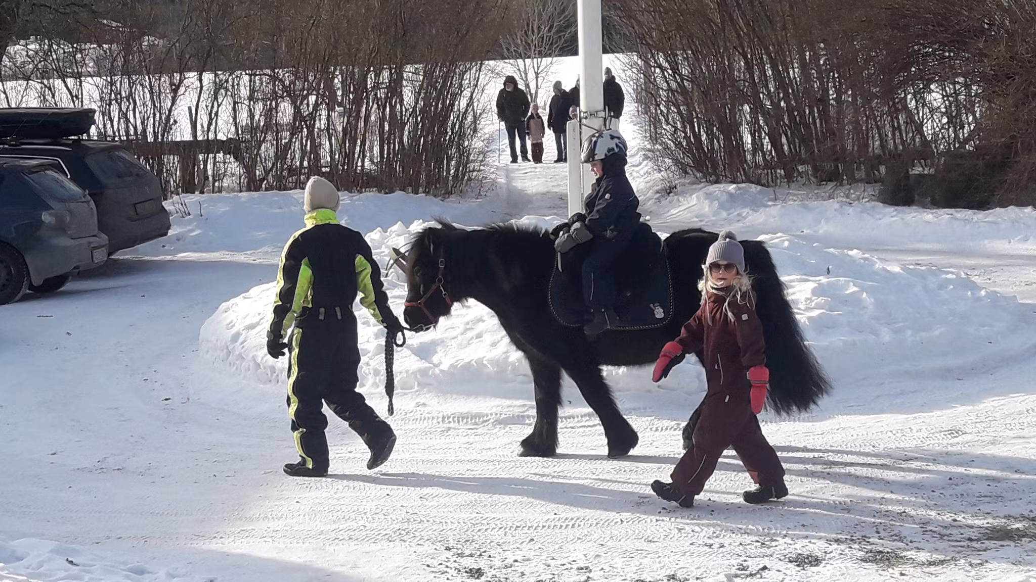 Sportlovsaktivitet på Siggegården, Nora 2026