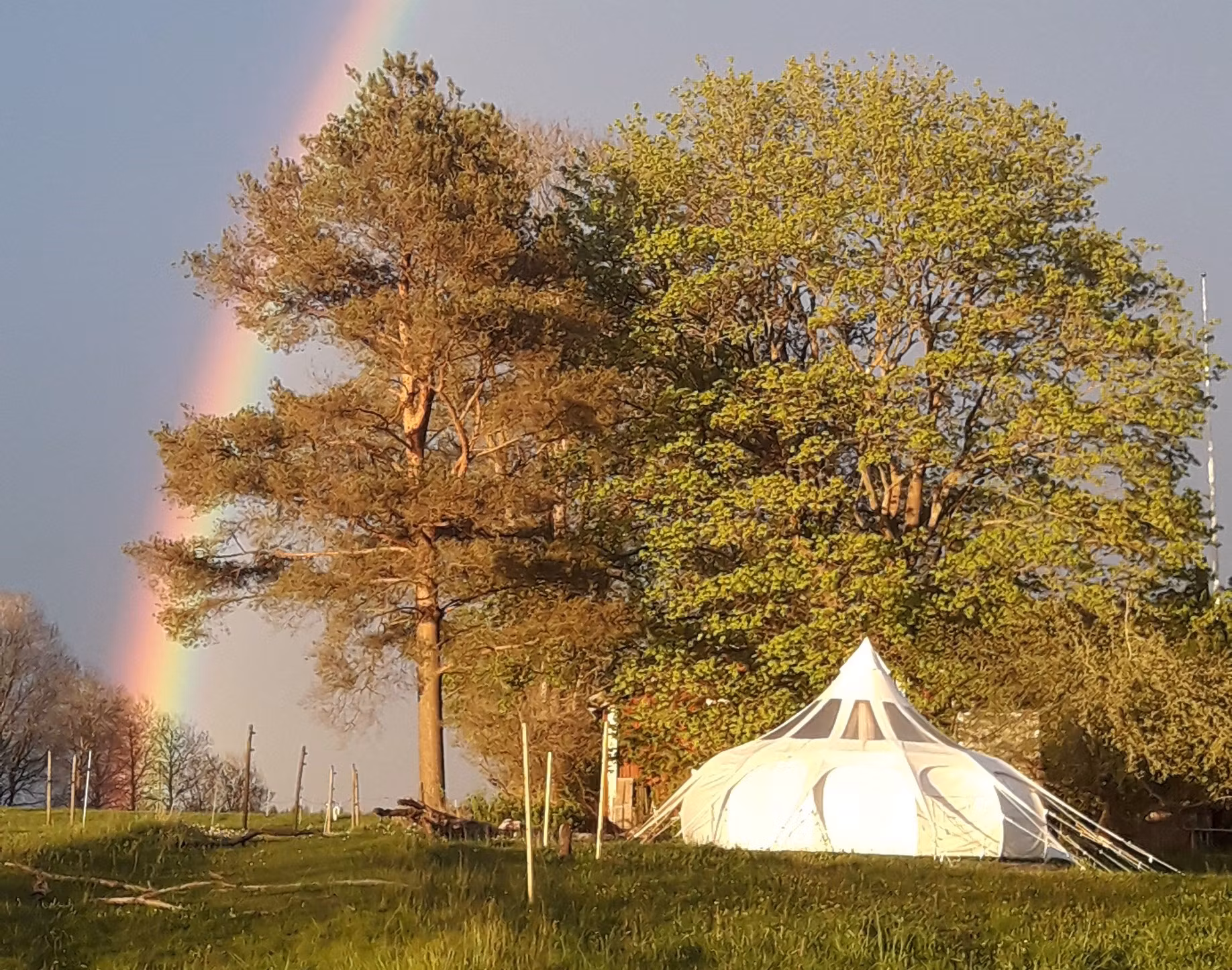Åshyttans Glamping i Nora