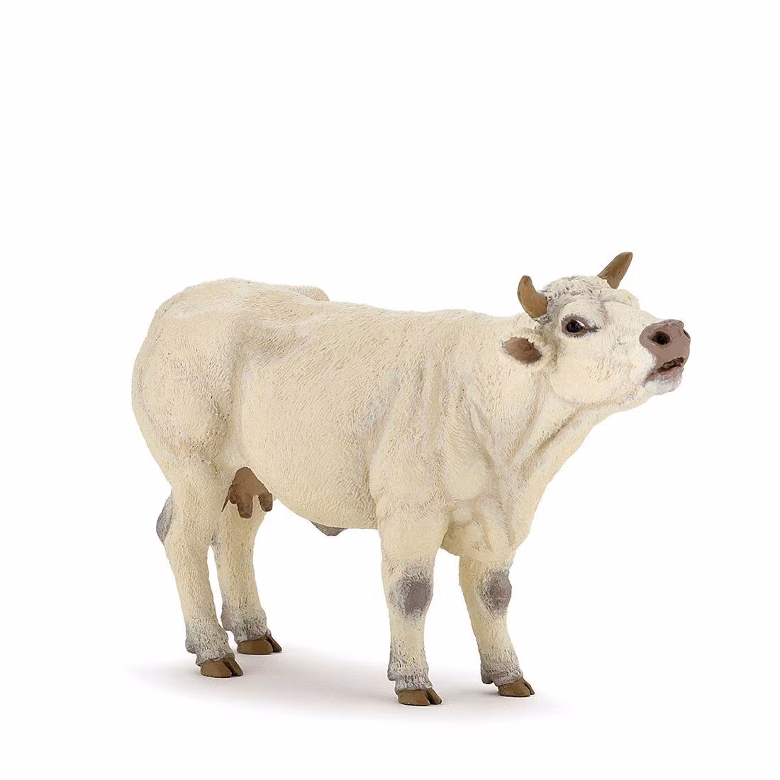 Charolaise ko 14 cm (Papo)