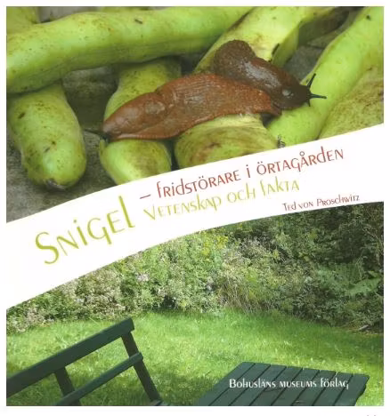 Snigel Vetenskap och fakta