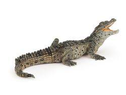 Krokodilunge (Papo)