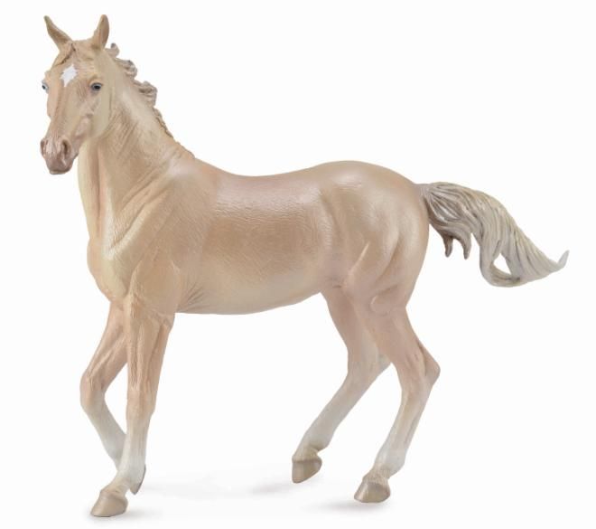Akhaltekeer sto perlino (Collecta)