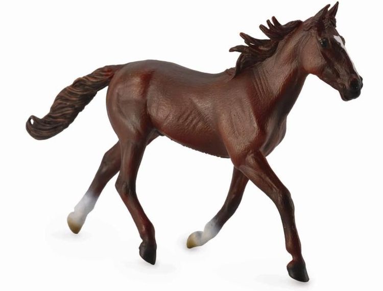 Amerikansk travare brun (Collecta)