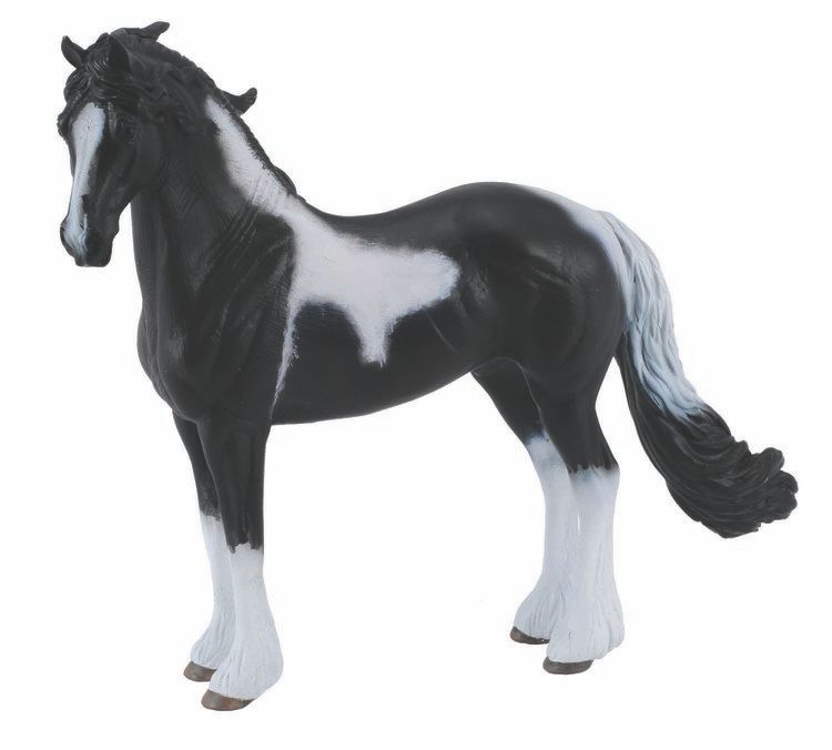 Barockpinto (Collecta)