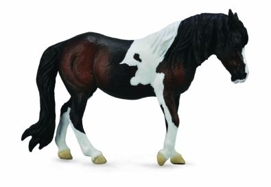 Dartmoor Hill sto (Collecta)
