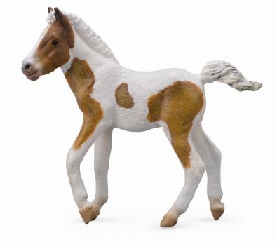 Dartmoore Hill föl (Collecta)