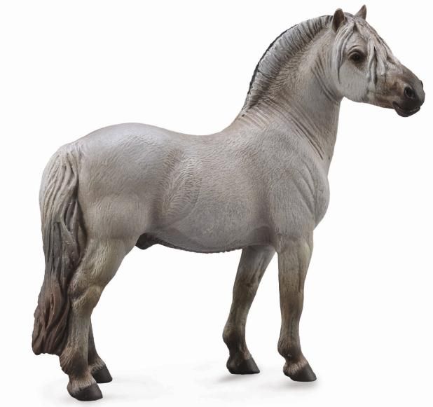 Fjording grå hingst (Collecta)