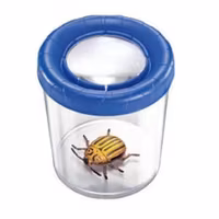 Insektsburk med förstoringslock, 11 cm