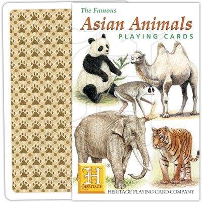 Asiens djur - Kortlek