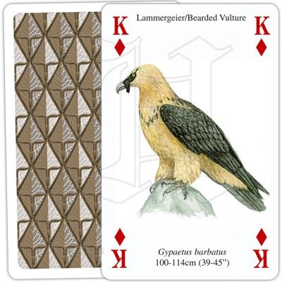 Rovfåglar - Kortlek