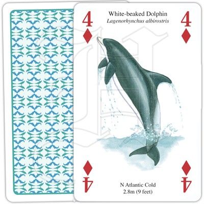 Valar & Delfiner och andra havsdäggdjur- Kortlek