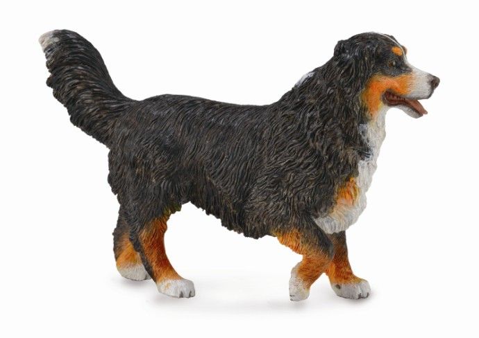 Berner sennen (Collecta)