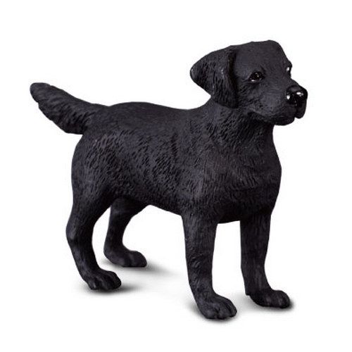 Svart labrador  (Collecta)