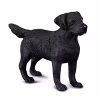 Svart labrador  (Collecta)