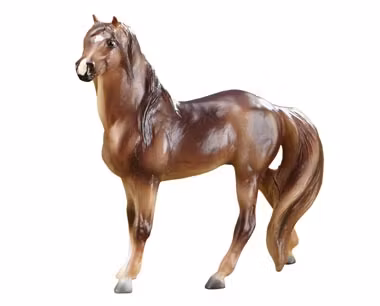 Mustang chestnut