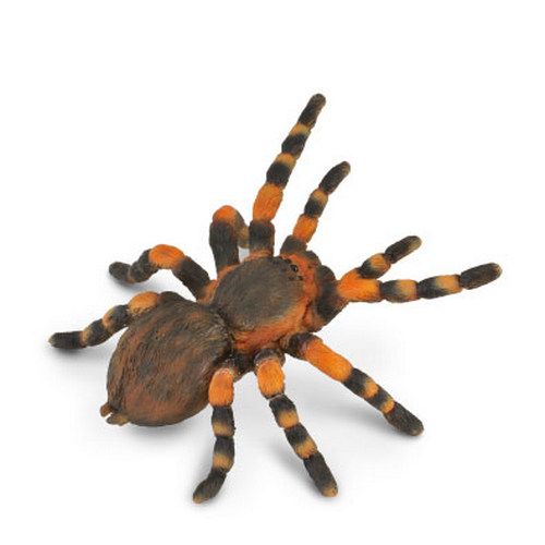 Rödknäad fågelspindel 8 cm (Collecta)