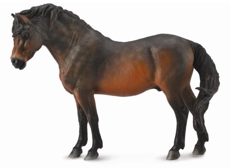 Dartmoorponny brun (Collecta)