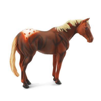 Appaloosa hingst (Collecta)