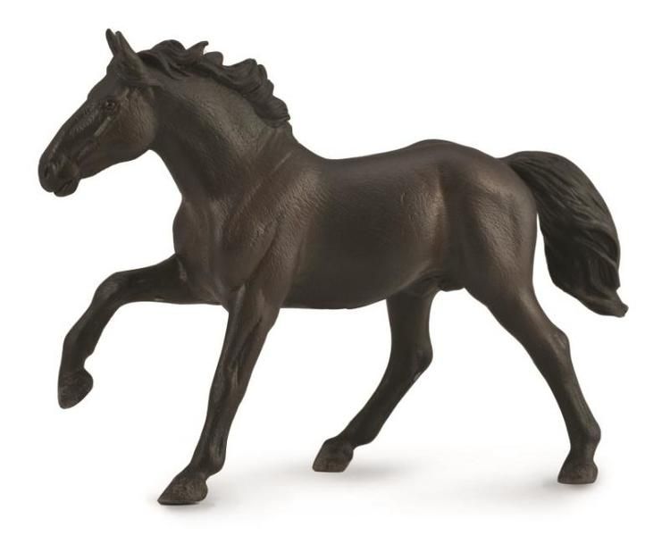 Nonius hingst (Collecta)