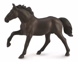 Nonius hingst (Collecta)
