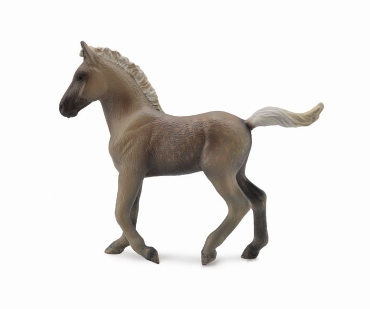Rocky Mountain föl (Collecta)