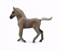 Rocky Mountain föl (Collecta)