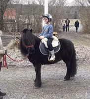 Ponnyridning