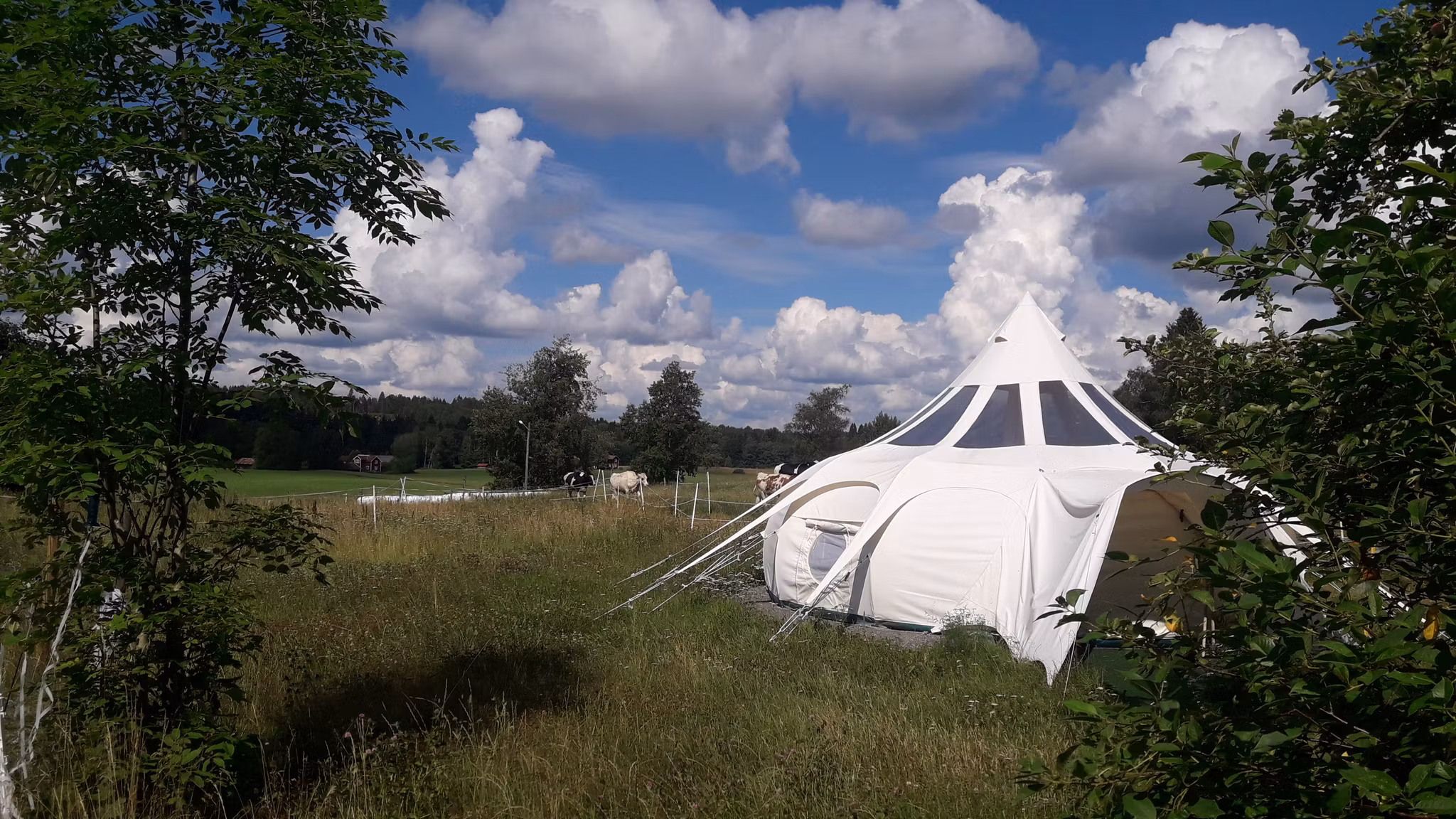 Åshyttans Glamping i Nora