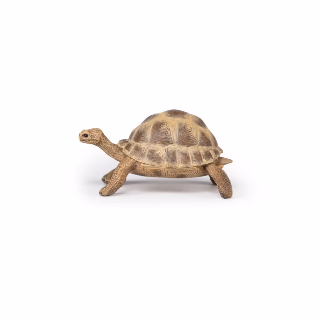 Grekisk landsköldpadda 7 cm (Papo)