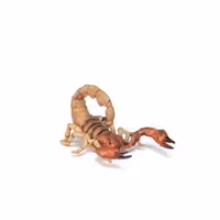 Skorpion 9 cm (Papo)