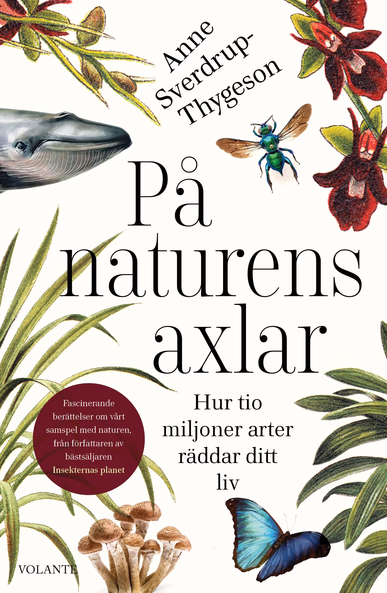 På naturens axlar : Hur tio miljoner arter räddar ditt liv