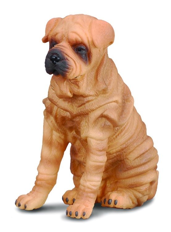 Shar pei (Collecta)