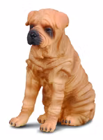Shar pei (Collecta)