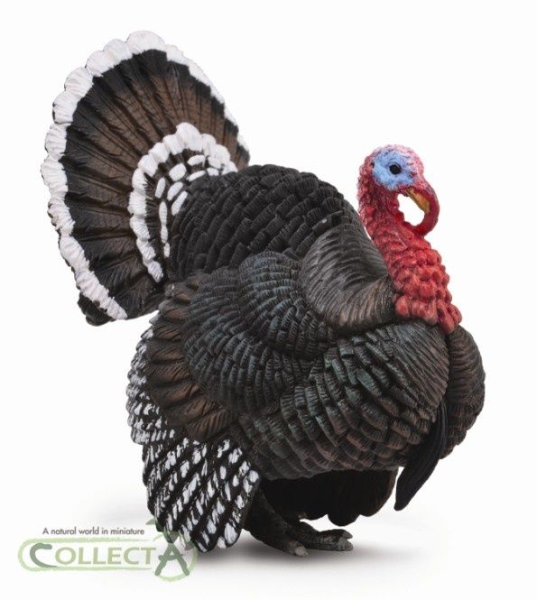 Kalkon 6 cm (Collecta)