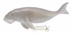 Sjöko - Dugong 15 cm (Collecta)