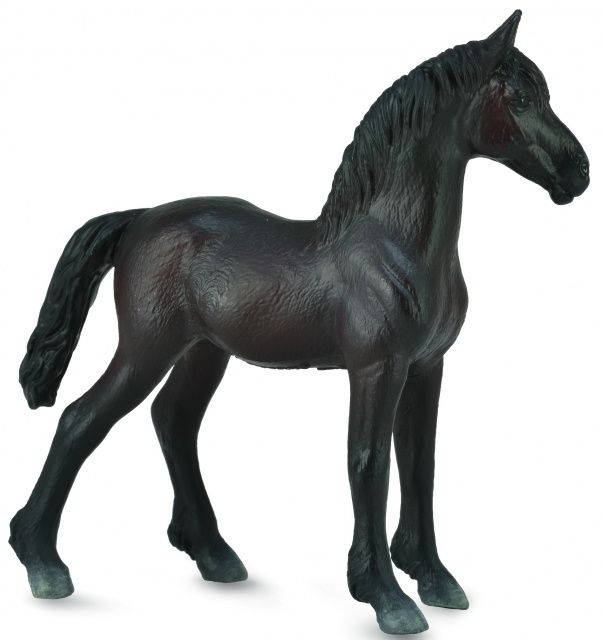 Frieser föl (Collecta)