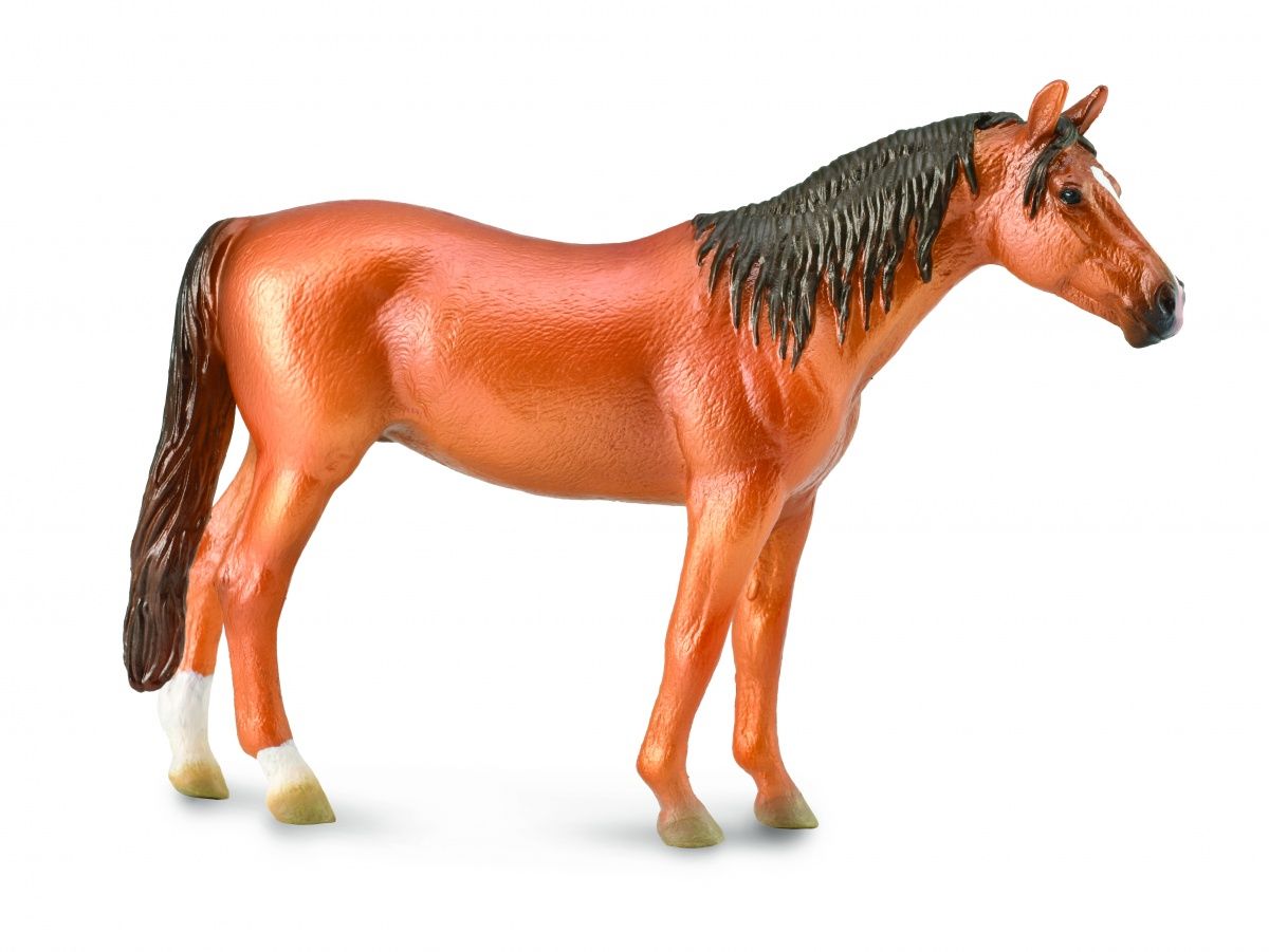 Rysk Donhäst sto (Collecta)