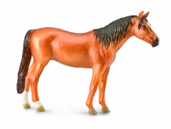 Rysk Donhäst sto (Collecta)