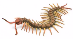 Skolopender 16 cm (Collecta)