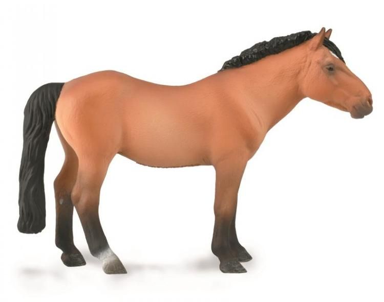 Mongolisk hingst (Collecta)