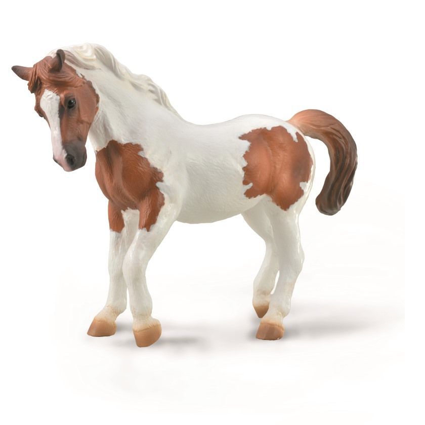 Chincoteague ponny (Collecta)