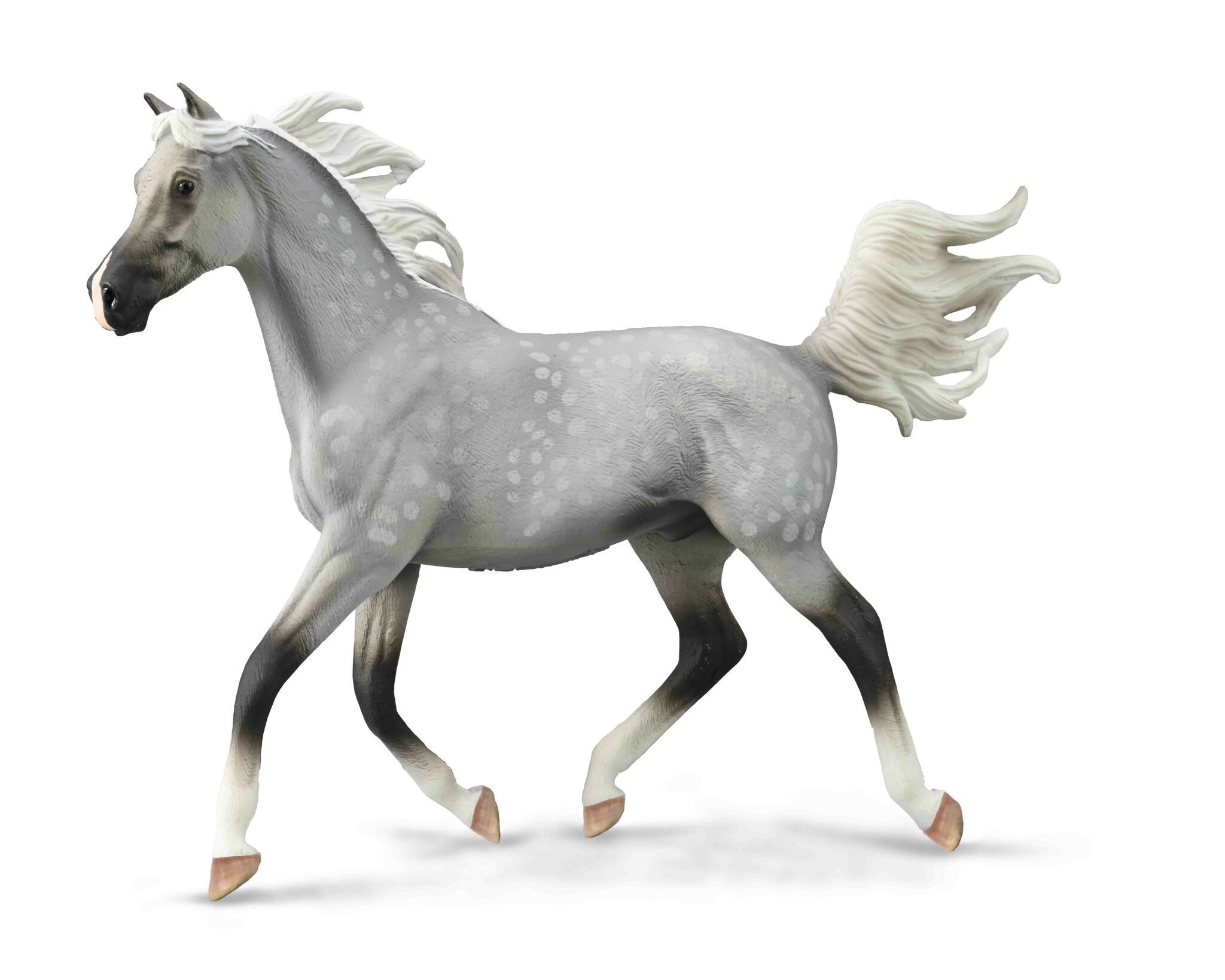 Deluxe 1:12 Halv-arab hingst skimmel (Collecta)